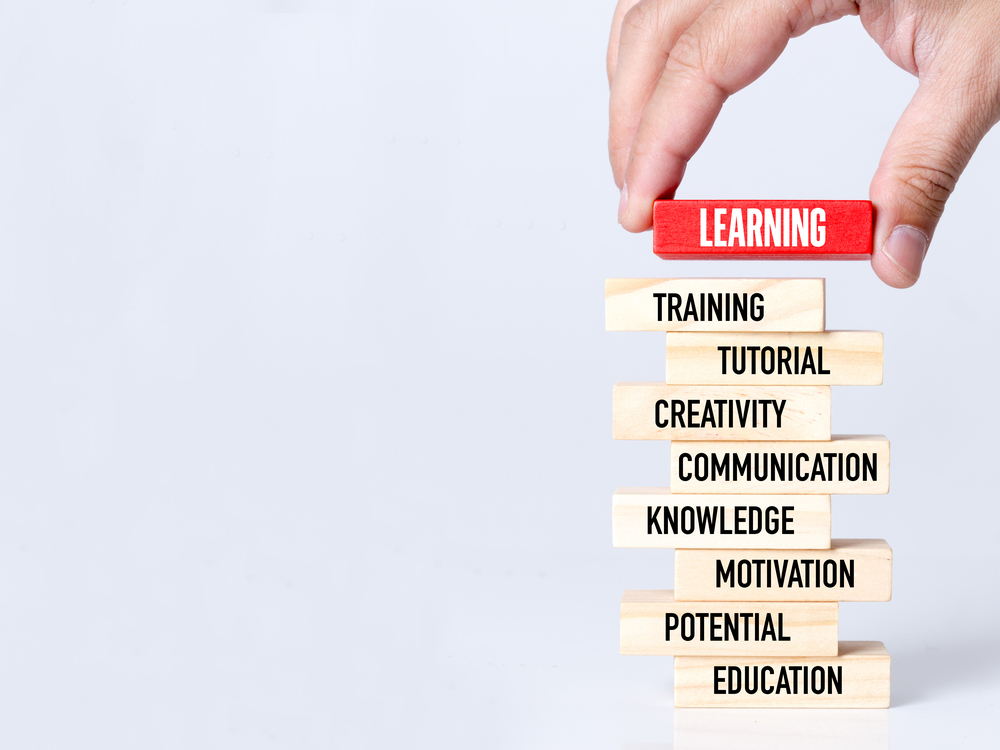 foster carer learning development and training South Coast Fostering